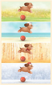 A Dog for all Seasons