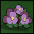 Bloomin' Gardens