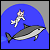 Cat on a Dolphin