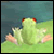 The Frog World