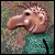 Haluz 2.2 walkthrough
