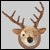 Loose the Moose