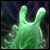Plasma Worm