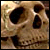 Mystery Case Files: Ravenhearst