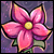 Seed walkthrough