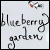 Blueberry Garden